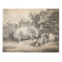 Dois porcos deitados com palha numa Caneta ao ar l