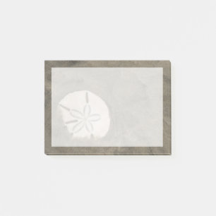 Bloco De Notas Dólar de areia (Echinarachnius parma)