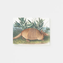 Bloco De Notas Dourado Beige Nine-band Armadillo