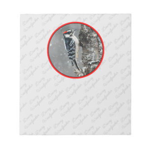 Bloco De Notas Downy Woodpecker em Neve - Foto Original