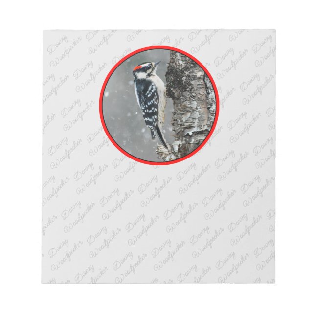 Bloco De Notas Downy Woodpecker em Neve - Foto Original (Frente)