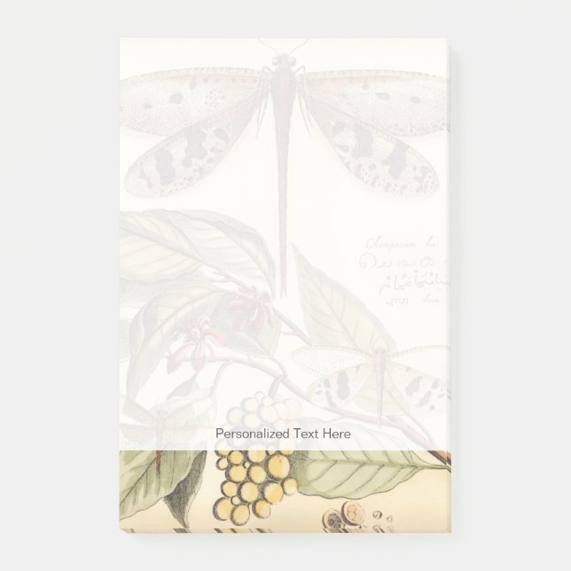 Bloco De Notas Dragões com folhas e Frutas (Frente)