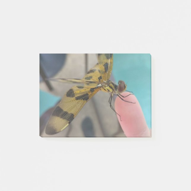 Bloco De Notas Dragon Fly (Frente)