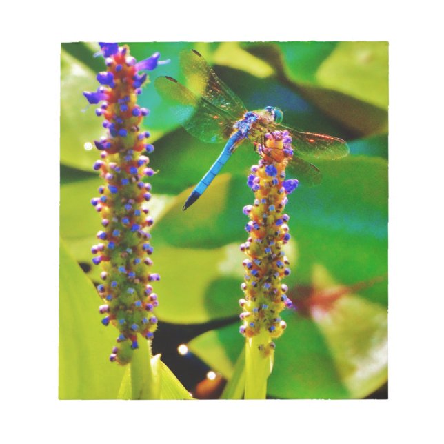 Bloco De Notas Dragonfly azul e flores (Frente)