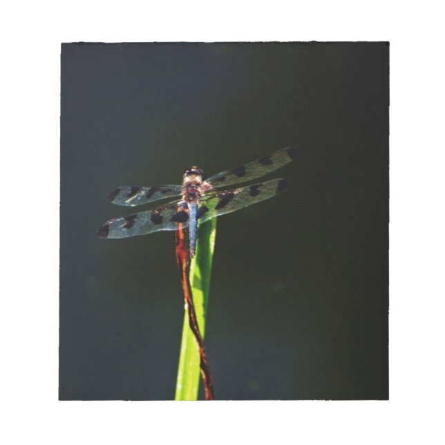 Bloco De Notas Dragonfly azul e preta sobre a grama verde e verme (Frente)