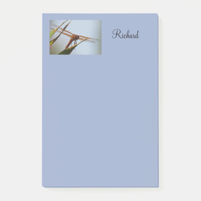 Bloco De Notas Dragonfly Blue Posto Personalizado Notas 4x6 (Frente)