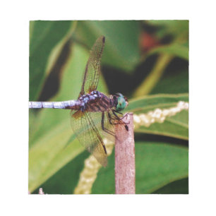 Bloco De Notas Dragonfly com flores brancas
