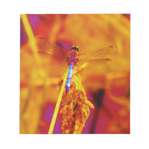 Bloco De Notas Dragonfly em âmbar e fuschia