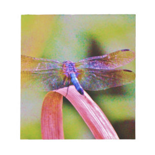 Bloco De Notas Dragonfly Rosa Brilhante Brilhante