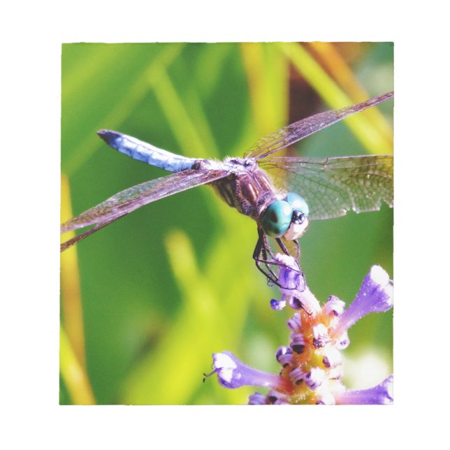 Bloco De Notas Dragonfly Teal & Purple (Frente)