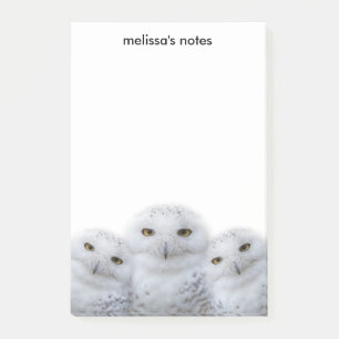 Bloco De Notas Dreamy Wisdom da Família Snowy Owls