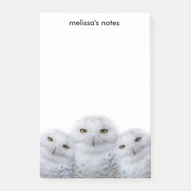 Bloco De Notas Dreamy Wisdom da Família Snowy Owls (Frente)