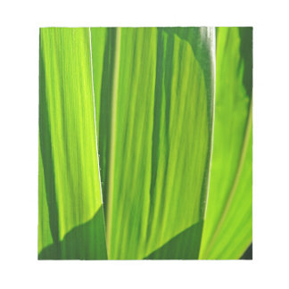 Bloco De Notas Drei grüne Maisblätter