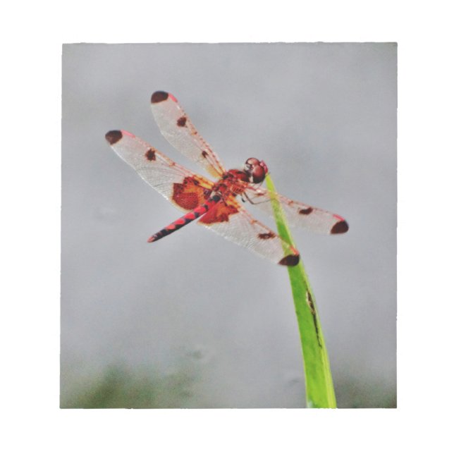 BLOCO DE NOTAS DSC00029.JPG (Frente)