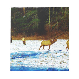 BLOCO DE NOTAS DSC00131.JPG