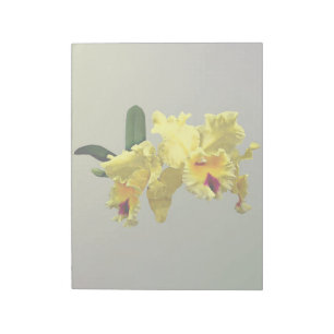 Bloco De Notas Duas Orquídeas de Cattleya Amarelas