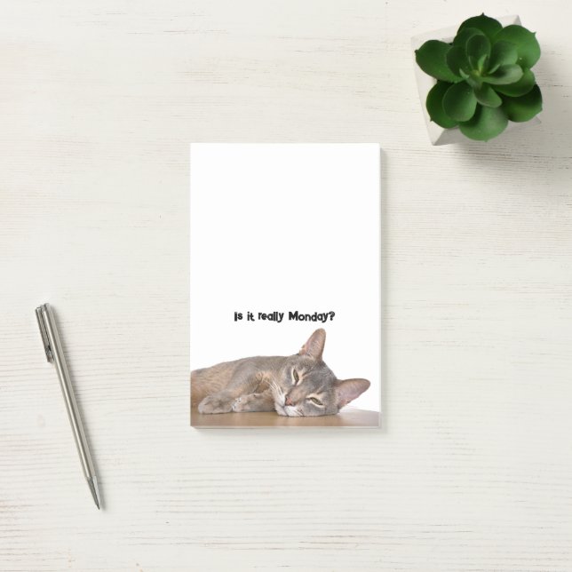 Bloco De Notas É Mesmo Segunda? Meme Gato Abissino Engraçado (Escritótio)