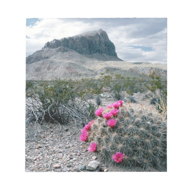 Bloco De Notas E.U.A., Texas, Parque Nacional Big Bend. Florindo (Frente)