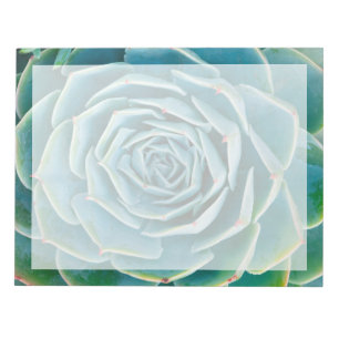 Bloco De Notas Echeveria Roseta, Jardim Secreto de Marrakech