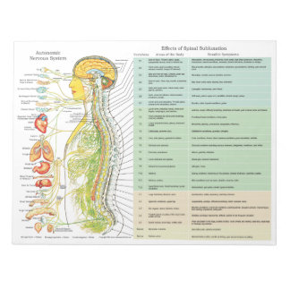 Bloco De Notas Efeitos de subluxação ANS Rasgam as Pastas