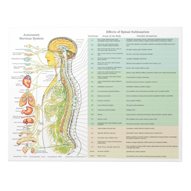 Bloco De Notas Efeitos de subluxação ANS Rasgam as Pastas (Frente)