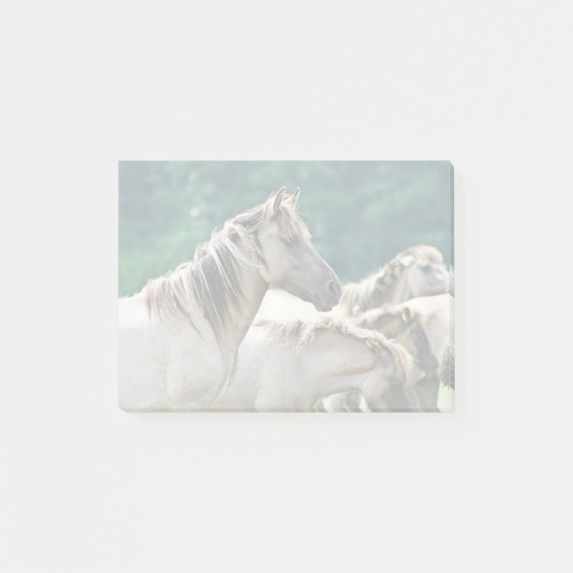 Bloco De Notas Efetivo de Cavalos de Brumby da Austrália (Frente)