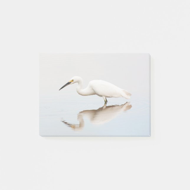 Bloco De Notas Egret em lagoa estática (Frente)