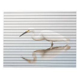 Bloco De Notas Egret em lagoa estática