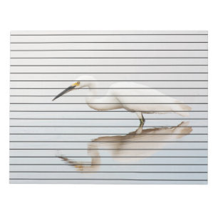 Bloco De Notas Egret em lagoa estática