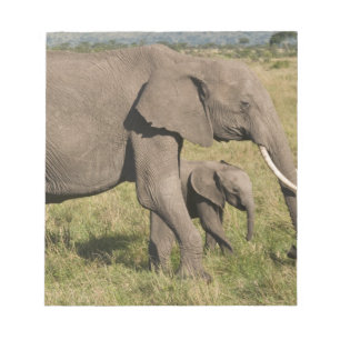Bloco De Notas Elefante africano e cria (Loxodonta africana),