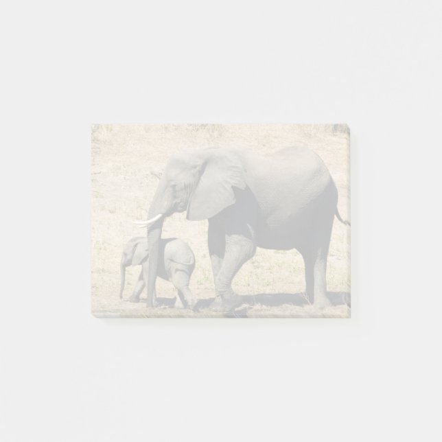Bloco De Notas Elefante e mãe do bebê (Frente)