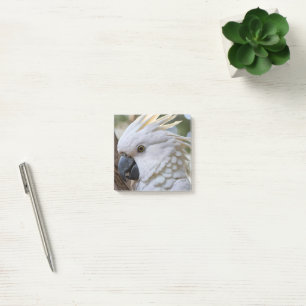 Bloco De Notas Elegância em Branco: O Majestoso Cacatua Australia