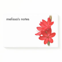 Elegante River Lily/Hesperantha Coccinea