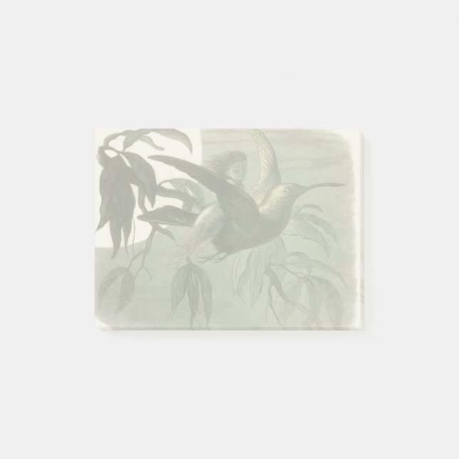 Bloco De Notas Elf Fairies Elves Moon Night Bird Voando (Frente)