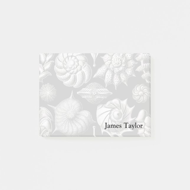 Bloco De Notas Ernst Haeckel Thalamophora II (Frente)