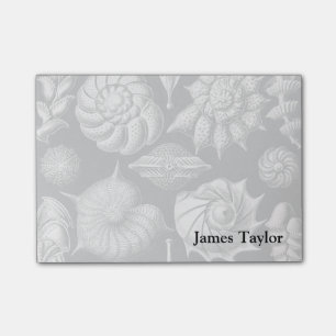 Bloco De Notas Ernst Haeckel Thalamophora II