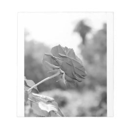 Bloco De Notas Escolhi-me Rosa