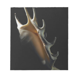Bloco De Notas Escudo do Conch