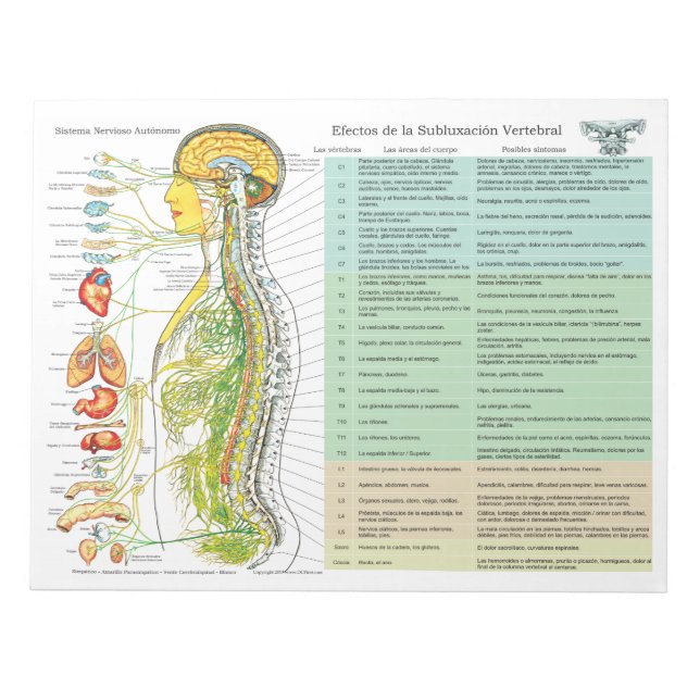 Bloco De Notas Espanhol ANS Subluxação Efeitos de Rasga (Frente)