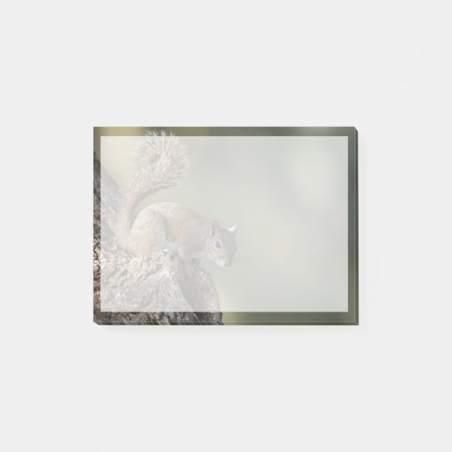 Bloco De Notas Esquilo de Cinza oriental ou esquilo de cinza (Frente)