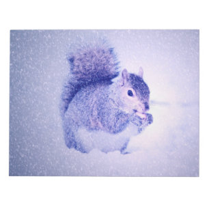 Bloco De Notas Esquilo na neve