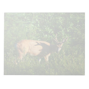 Bloco De Notas Esteja a caminho