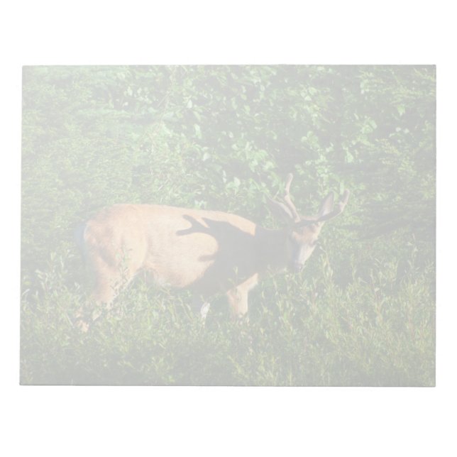 Bloco De Notas Esteja a caminho (Frente)