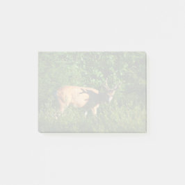 Bloco De Notas Esteja a caminho