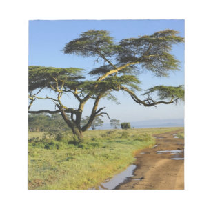 Bloco De Notas Estrada de terra primitiva e árvore de acácia, Lag