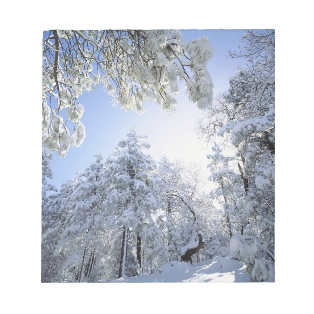 Bloco De Notas EUA, Califórnia, Floresta Nacional de Cleveland, (Frente)