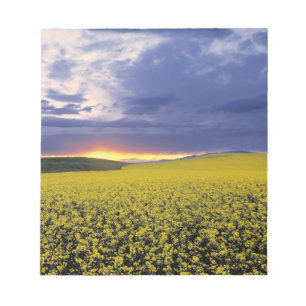 Bloco De Notas EUA, Idaho, Swan Valley. Um pôr do sol ardente irr