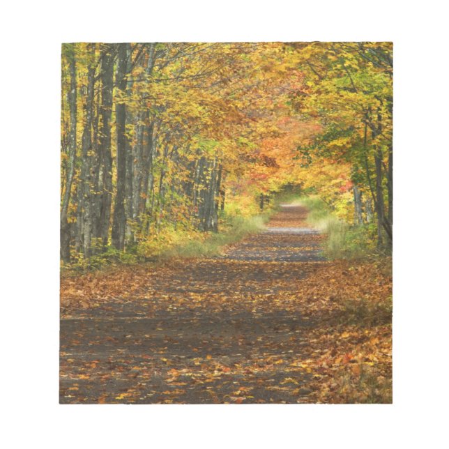 Bloco De Notas EUA, Michigan, Península Superior. Estrada para (Frente)