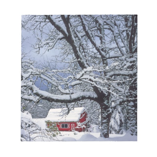 Bloco De Notas EUA, Oregon, Condado de Clackamas. Neve fresca cob (Frente)