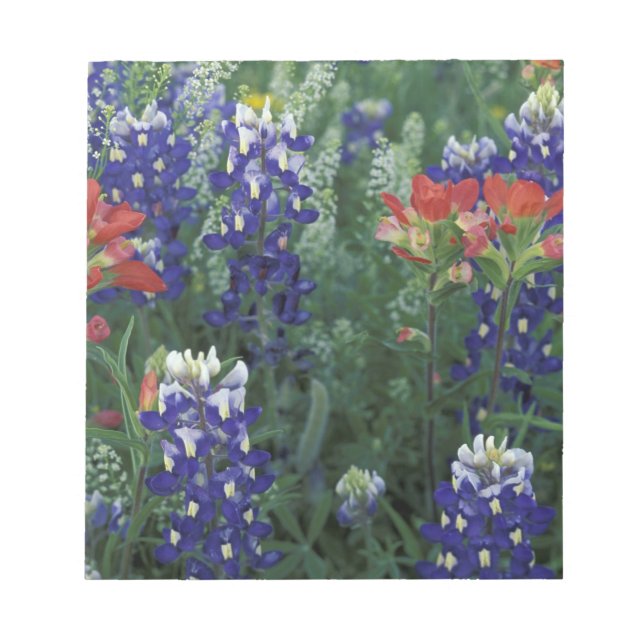 Bloco De Notas EUA, Texas Hill Country. Bluebonnets e (Frente)